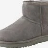 Ugg Laarzen Boots Dames Grijs