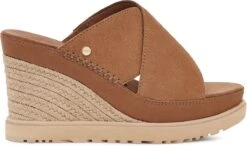 UGG W Abbot Slide Dames Sandalen - Chestnut - Maat 41 11 UGG W Abbot Slide Dames Sandalen - Chestnut - Maat 41 -Ugg 1200x715 1