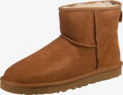 Ugg Boots & Laarzen Laarzen Heren Roestbruin -Ugg 32c8961781f6794a9a14224d5a1208f5