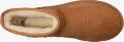 Ugg Boots & Laarzen Laarzen Heren Roestbruin -Ugg 4169901813f3e0d3beea4eb7a860cb0c