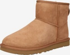 Ugg Boots & Laarzen Laarzen Heren Roestbruin