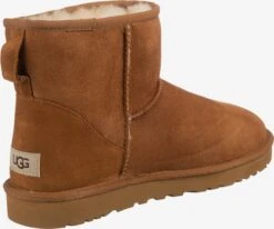 Ugg Boots & Laarzen Laarzen Heren Roestbruin -Ugg 4b3ce67bc0ede5d72bee8c876a7639a4