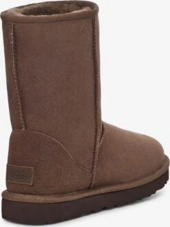 Ugg Laarzen Snowboots Dames Bruin -Ugg 584eb8174cae9d219ca898efa9dde55b