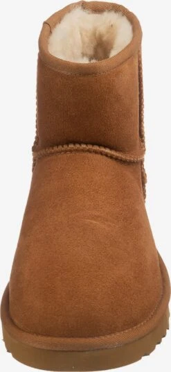 Ugg Boots & Laarzen Laarzen Heren Roestbruin -Ugg 5dd062d64ced9c15b0b9e0cb7f8ea8f6