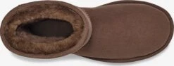 Ugg Laarzen Snowboots Dames Bruin -Ugg 7cc2f879cab2c9a332a1bed4909b200c
