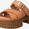 Ugg Sandalen Met Hak Muiltjes Ashton Dames Bruin