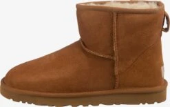 Ugg Boots & Laarzen Laarzen Heren Roestbruin -Ugg a98e8f0958d46e6f7ac381cdff4c7373