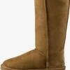 Ugg Laarzen Snowboots Dames Sepia